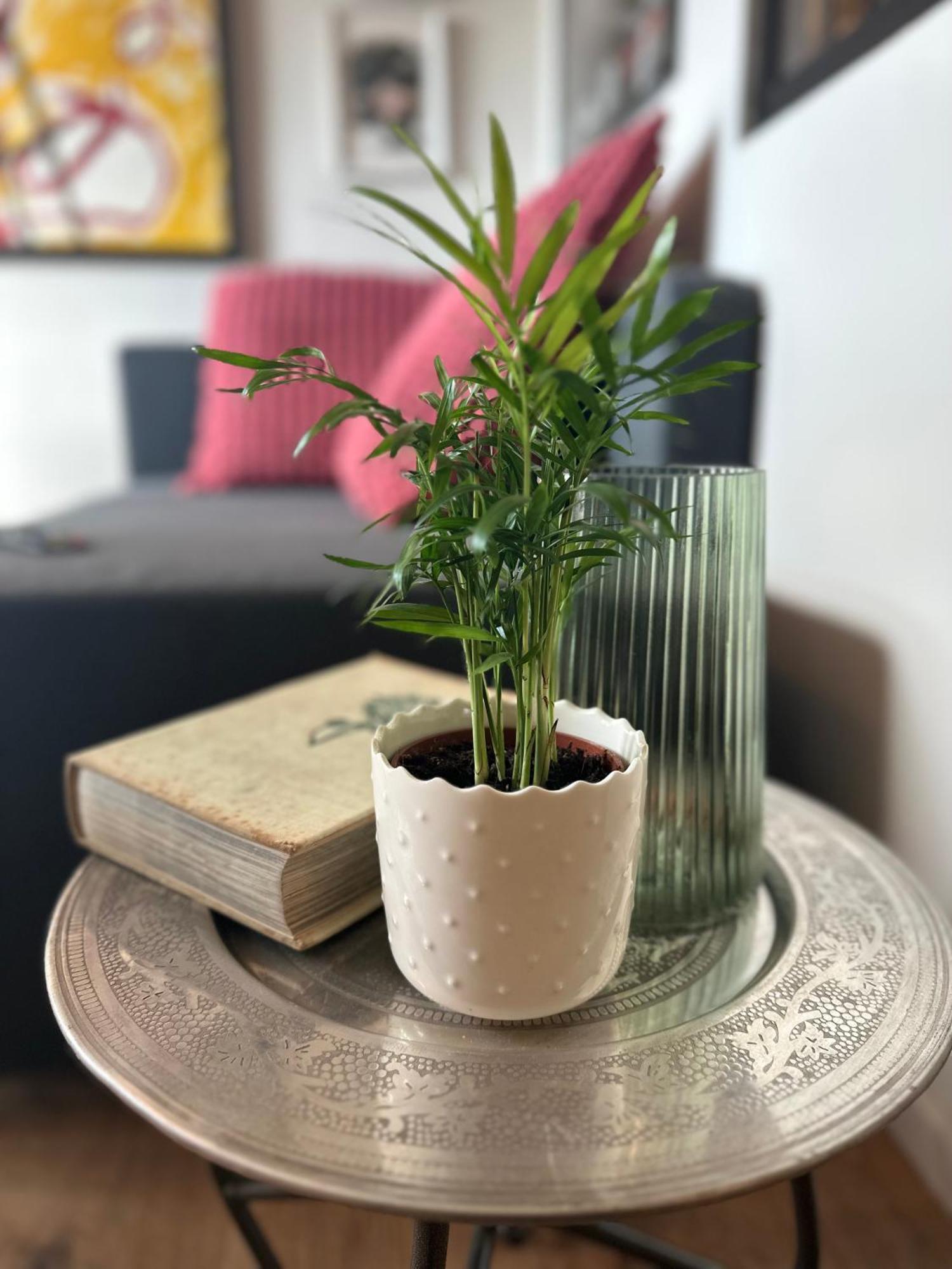 Soprabosco Calcata Art & Design Apartment Екстериор снимка
